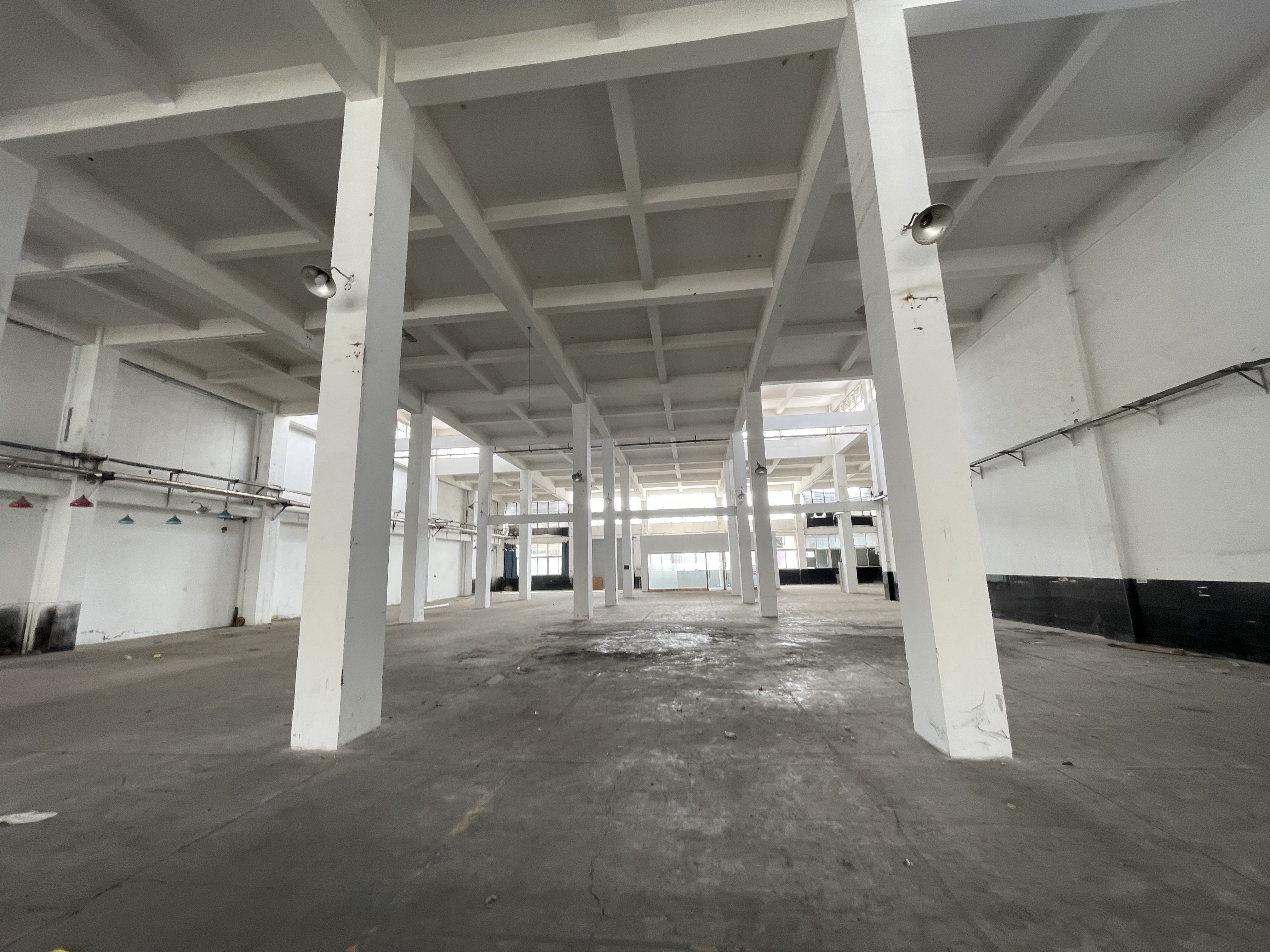 南岸区南岸经开区 1500㎡ 标准厂房，16元/㎡/月